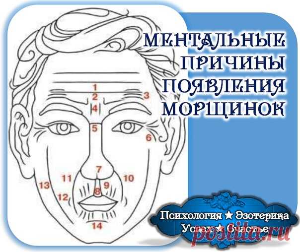 МЕНТАЛЬНЫЕ ПРИЧИНЫ ПОЯВЛЕНИЯ МОРЩИН Аюрведический центр красоты и здоровья «Живая вода»

МЕНТАЛЬНЫЕ ПРИЧИНЫ ПОЯВЛЕНИЯ МОРЩИН
Известно, что все внутренние органы и части физического тела человека тесно связаны между собой, причем каждая …