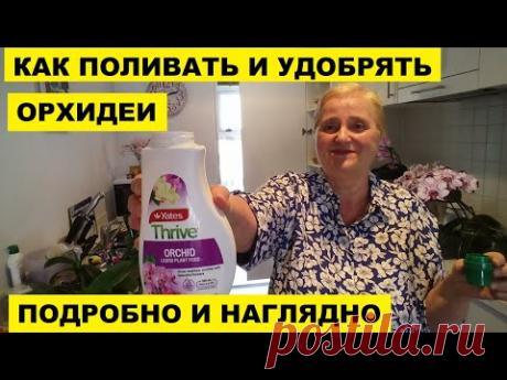 КАК ПОЛИВАТЬ ОРХИ