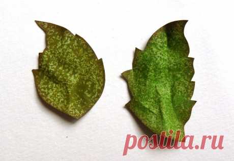 ...by Ashatanka: МК &quot;Листочки&quot;:)