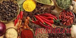 свойства специй