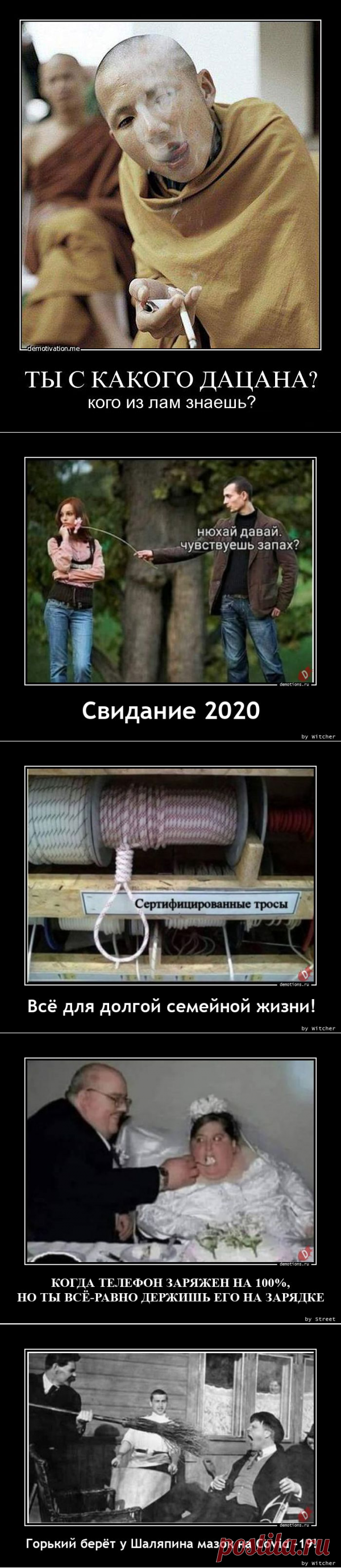 Демотиваторы-251