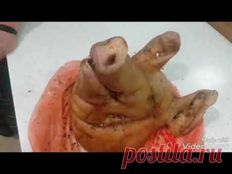 Запеченая свиная голова.