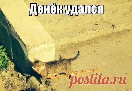 везение