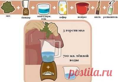 Рисуем на стенах