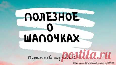 Полезное о шапочках.