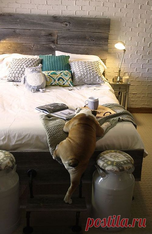 bwahahaaaa! so cute / Home of Mine on imgfave