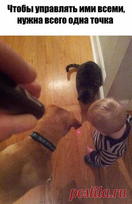 Без комментария