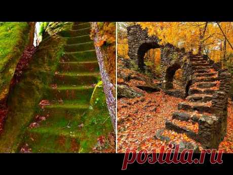 Лесные лестницы / Туристический спутник