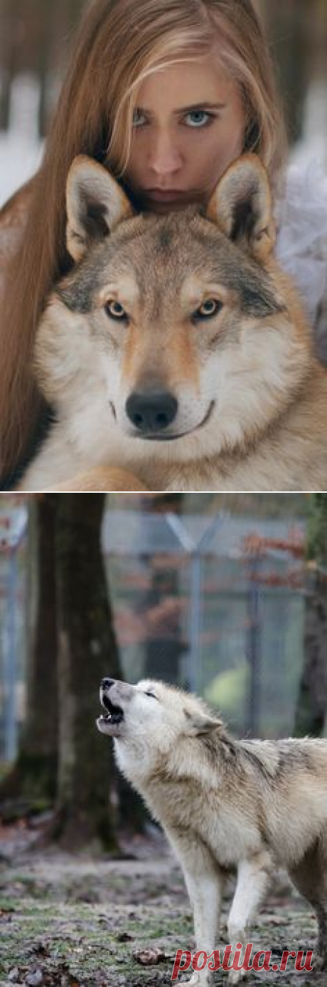 Pinterest • Всемирный каталог идей
