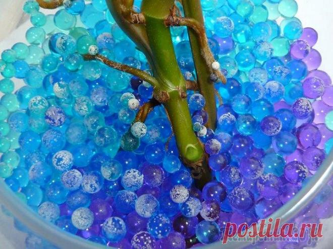 Как правильно использовать аквагрунт для цветов