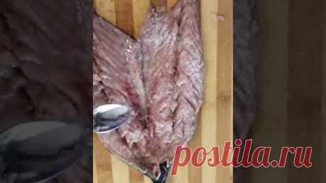 купила скумбрию и сделала деликатес