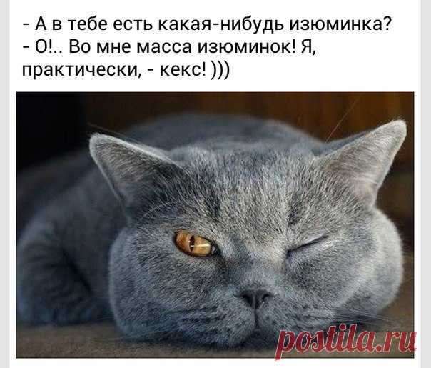 ЛУЧШИЙ ЖЕНСКИЙ ЮМОР