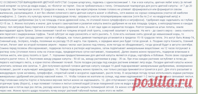 Дачницы-удачницы-19. К Новому уДачному Году готовы! - Страница 73 | VLADMAMA.RU