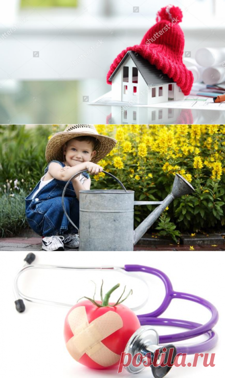 Сад, огород, участок и дом - как обустроить. Все для вашего сада и огорода, участка и дома.