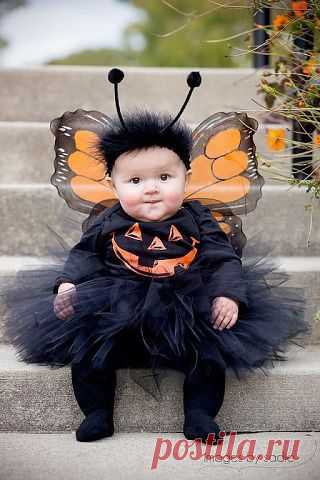 А я сижу и не жужжу