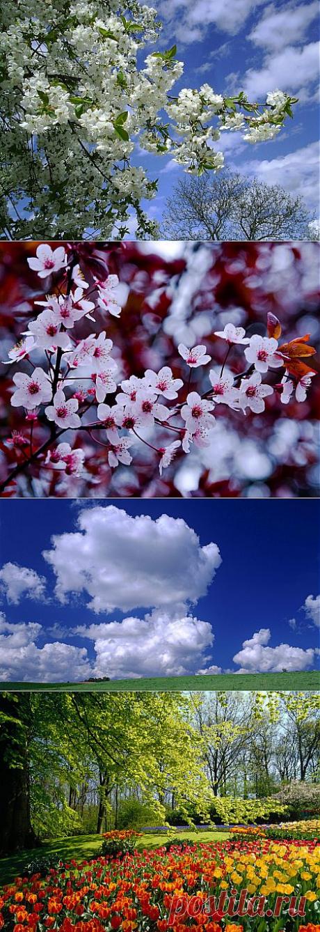 Василий Пелип: Моя любимая природа