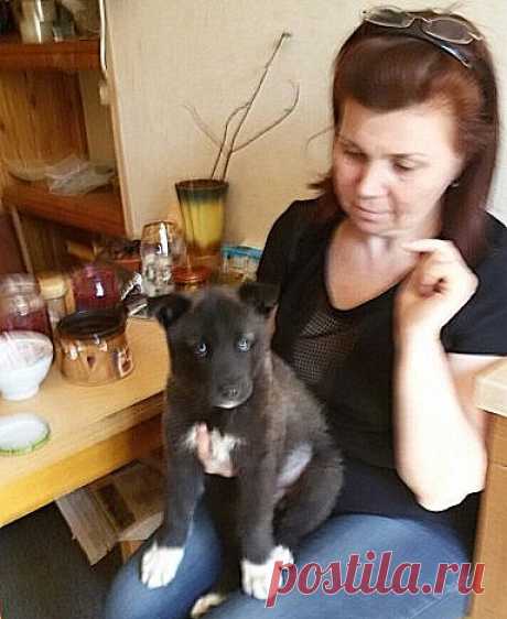 Ладушка