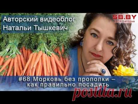 Опытные огородники знают, что для получения хорошего урожая мало посадить растения, за ними нужно еще и правильно ухаживать. Если говорить о моркови, то самы...