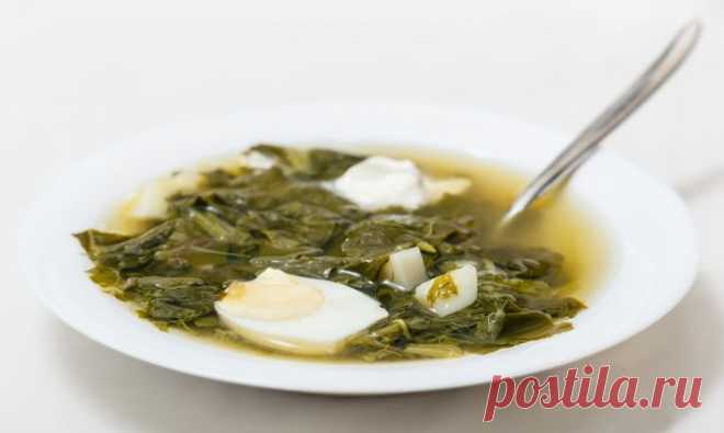 Щавелевый борщ: рецепт весеннего первого блюда plate with spoon and vegetarian soup from greens ФОТО: Valery Vvoennyy / PantherMedia / Valery Vvoennyy Щавелевый борщ из первой зелени – лучшее весеннее блюдо. Ведь в сезон всевозможных овощей и зелени грех не воспользоваться всем этим буйством витаминов и не приготовить что-нибудь...