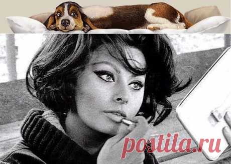 Научитесь пользоваться вашими мозгами так же ловко, как и вашей пудреницей, и тогда возможно пудреница вам уже и не понадобится…

Софи Лорен