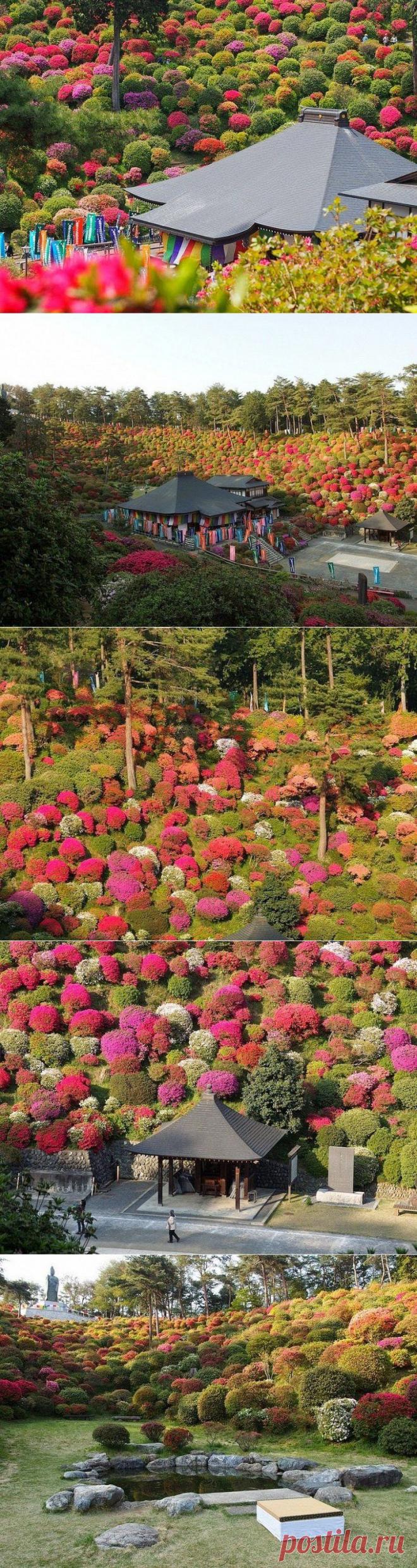 Храм в азалиях / Туристический спутник