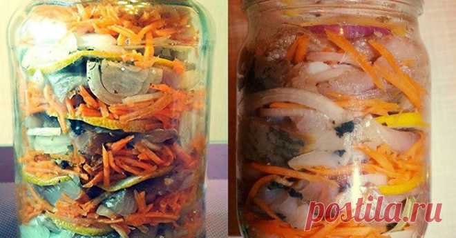 Соленая скумбрия «По-Голландски»