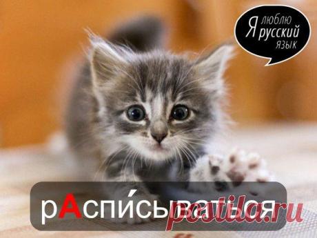 Стена
