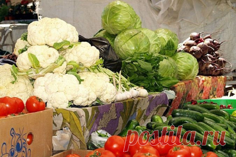 Закладываем грядку под скорый урожай // KP.RU