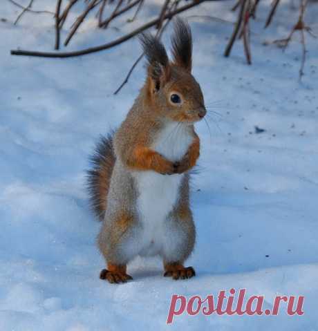 Избранное - 45 фото. Фотографии Лейла Санина.