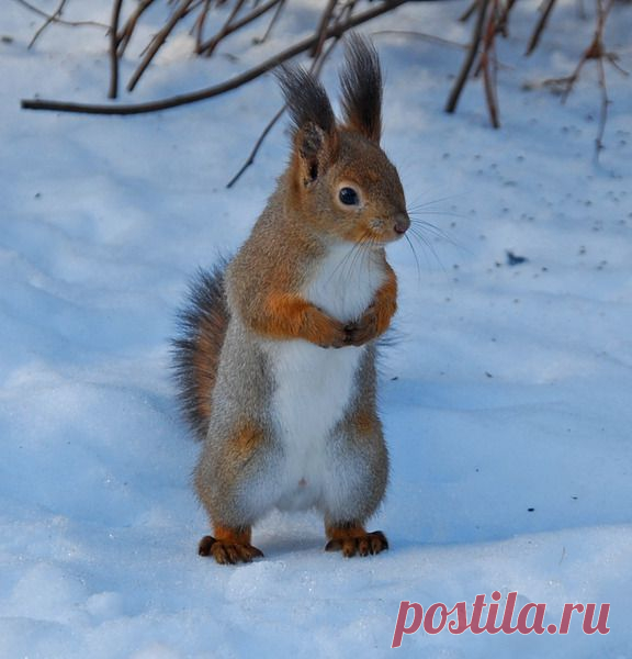 Избранное - 45 фото. Фотографии Лейла Санина.