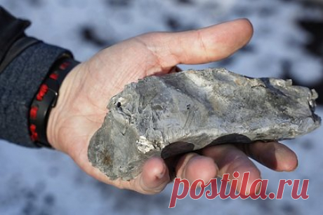 Приграничное российское село попало под обстрел ВСУ. Вооруженные силы Украины (ВСУ) обстреляли село Алексеевка Глушковского района Курской области. Об этом в понедельник, 13 февраля, сообщил губернатор приграничного российского региона Роман Старовойт. По его словам, всего со стороны Украины насчитали шесть прилетов, один из снарядов не разорвался.