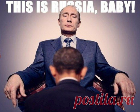 Владимир Путин. Все приколы интернета | ТопФотоПрикол