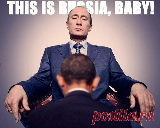 Владимир Путин. Все приколы интернета | ТопФотоПрикол
