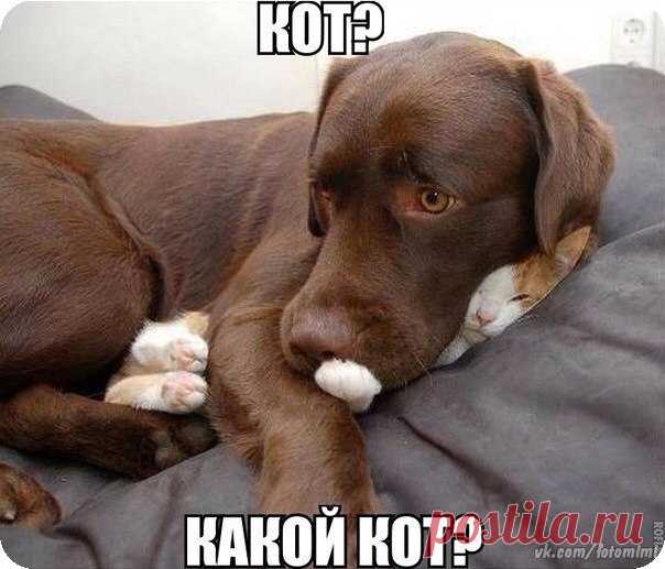 ♥ Открытки 9 Мая!