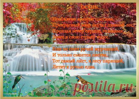 5osen.gif.gif (750×537)