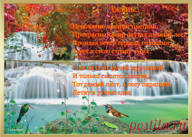 5osen.gif.gif (750×537)