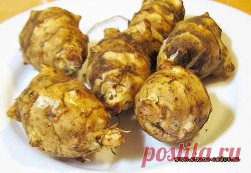 Рецепты приготовления блюд из топинамбура