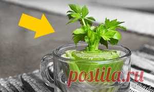 Свобода - Сделай сам : AdMe — Творчество. Свобода. Жизнь.