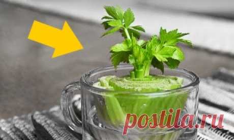 Свобода - Сделай сам : AdMe — Творчество. Свобода. Жизнь.