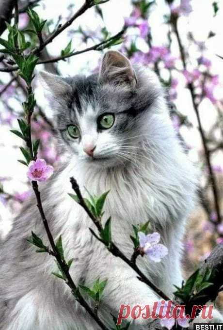 ♥