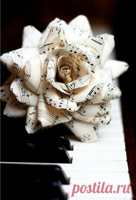 розы из нот
. - natapetskus