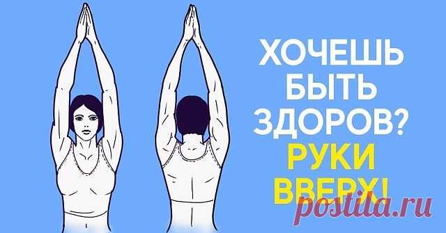 1.      4 веские причины поднимать руки вверх!
2.     Эти компрессы избавляют от болей в суставах, коленях, заживляют раны и вытягивают гной! 
3.     НАРОДНЫЕ  СОВЕТЫ.
4..     18 РЕЦЕПТОВ ЛЕЧЕНИЯ ПИТЬЕВОЙ СОДОЙ.
5.      Для профилактики болезней поджелудочной железы, сахарного диабета, для укрепления сосудистой стенки и нервной системы обязательно попробуйте лекарства с бархатцами !
6.     Многие из популярных домашних средств от рака включает в себя морковь, куркуму, пище...