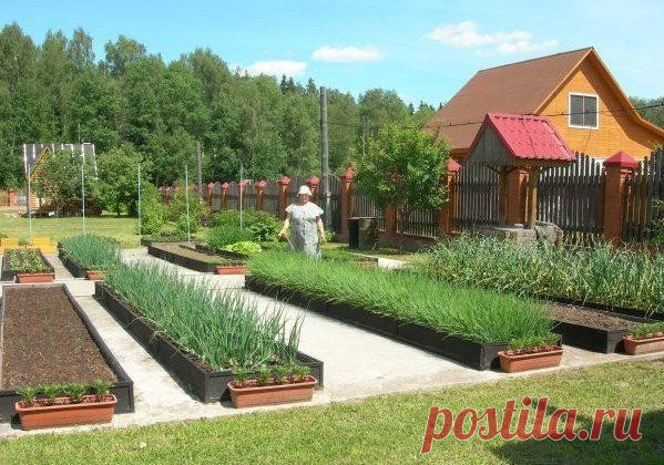 Ограждения для грядок и клумб! | Мамам, женщинам, бабушкам и очень любознательным.