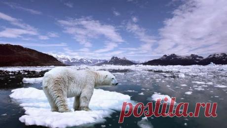 Гектар бесплатно – каждому: в России с 1 февраля 2022 года действует закон о предоставлении гражданам РФ участка в Арктике | Информационно-аналитическое издание – Узнать последние новости онлайн от независимого издания