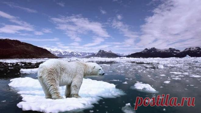 Гектар бесплатно – каждому: в России с 1 февраля 2022 года действует закон о предоставлении гражданам РФ участка в Арктике | Информационно-аналитическое издание – Узнать последние новости онлайн от независимого издания