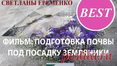 Подготовка почвы под посадку земляники