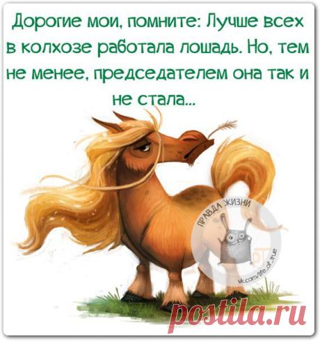 С любимыми не расставайтесь... - Прикольные фразочки в картинках)))