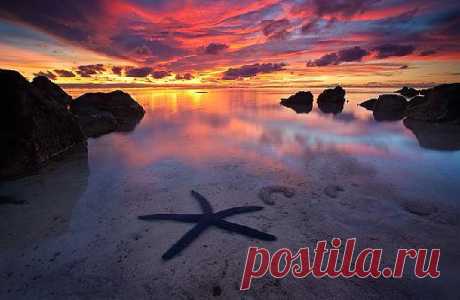 Фотостена - лучшие фотографии путешествий - TripAdvisor