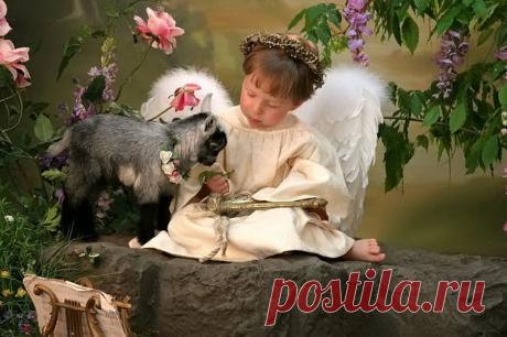 ангелочки картинки: 123 тыс изображений найдено в Яндекс.Картинках