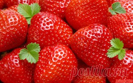 9 секретов выращивания крупной клубники